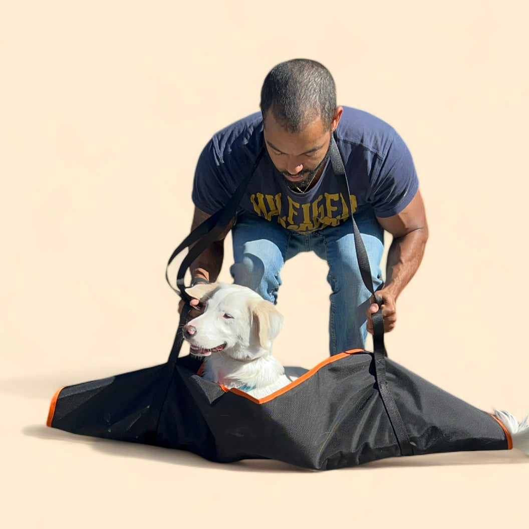 portantina per cani facile da usare