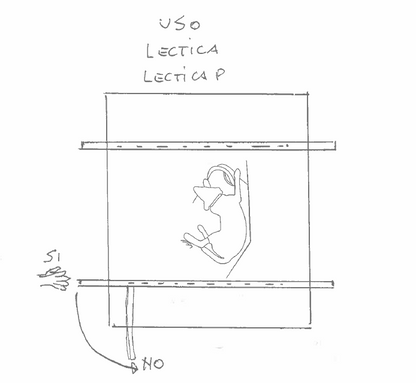 portantina Lectica