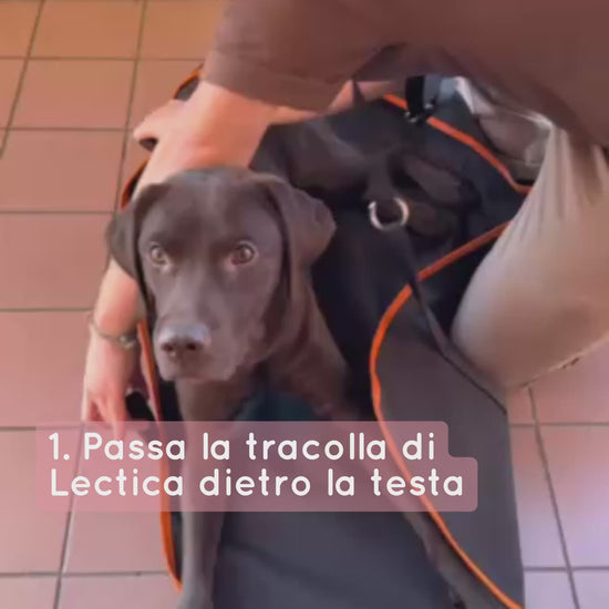 portantina per cani anziani o disabili