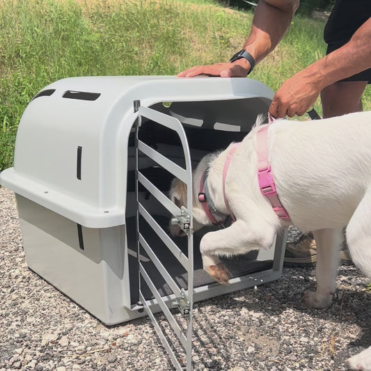 Cane felice nel trasportino Armadillo, comfort e sicurezza in movimento