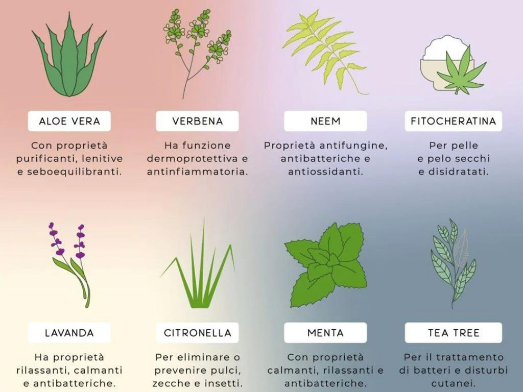 Igienizzante Cucce e Superfici