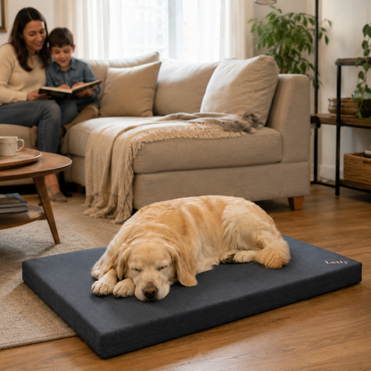 Letty – Cuccia Ortopedica in Memory Foam a Doppio Strato | Tartufo Rosa