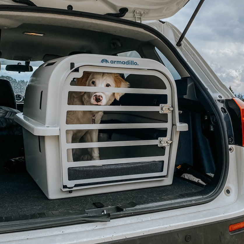 trasportino Armadillo sicuro con cane all'interno in viaggio