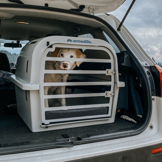 trasportino Armadillo sicuro con cane all'interno in viaggio